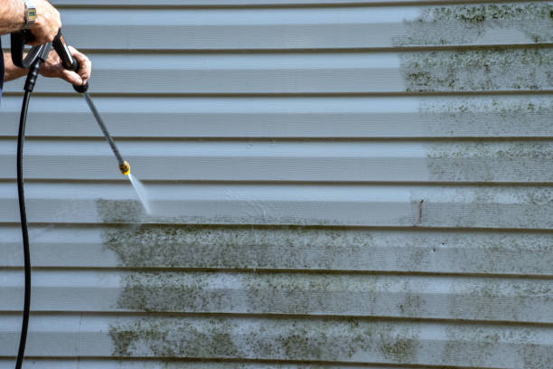 Best Steel Siding Installation  in West Park, NJ