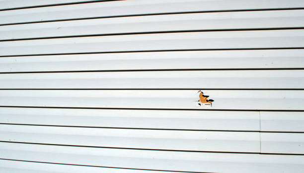 Professional Siding Installation & Repair in West Park, NJ